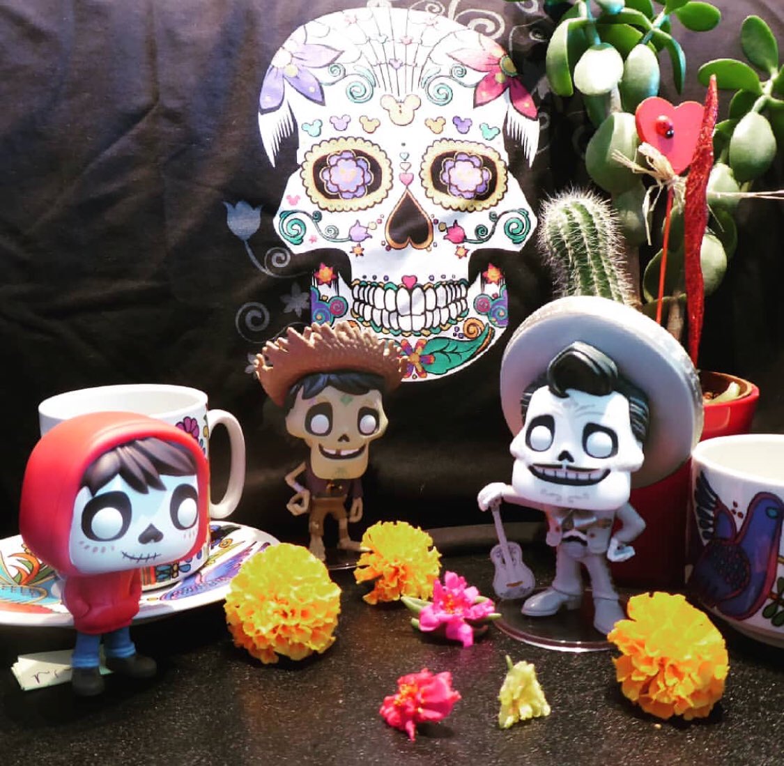 WarpGadgets's tweet photo. Remember me, though I have to say goodbye 
| @corinne.douge |
Amazing use of props to finish off the picture!! #warpgadgets #disneycoco #funkopops #funkophotography #funkomania #funkofan #funkofamily #funkolove #dayofthedead #skulls #funkophoto https://t.co/iEfERKuO8A