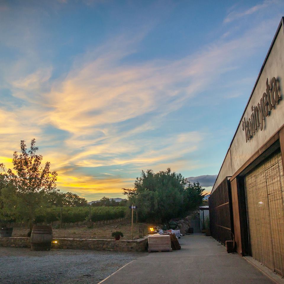 la_vinyeta's tweet photo. Aquest dissabte, #nitdevins! Passejarem entre vinyes i farem una visita nocturna al #celler, soparem i tastarem els nostres #vins. + info: https://t.co/jwLywLb4rl 👉 I dissabte 28 tindrem la @nuriagraham en concert, amb sopar i #maridatge de vins! Més info, al nostre web! 💻 https://t.co/cQub61Jzj7