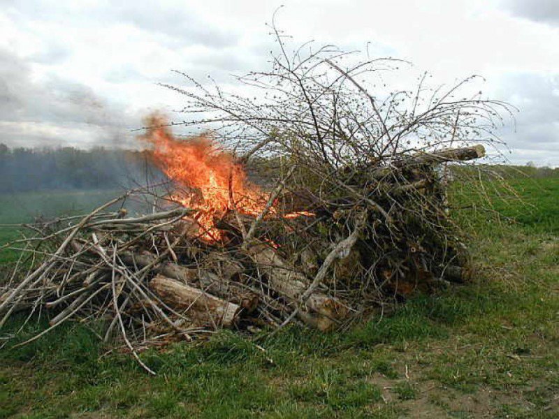 DOAS on Twitter "Statewide, it’s illegal yearround to burn