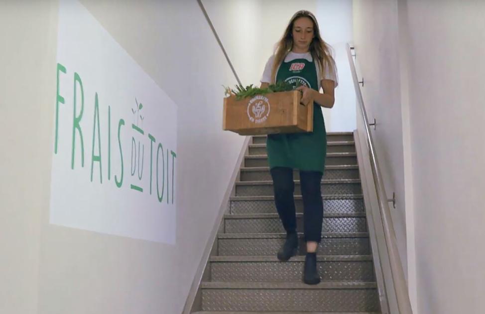 From rooftop garden to IGA cart in just a few minutes thesuburban.com/life/food/from…