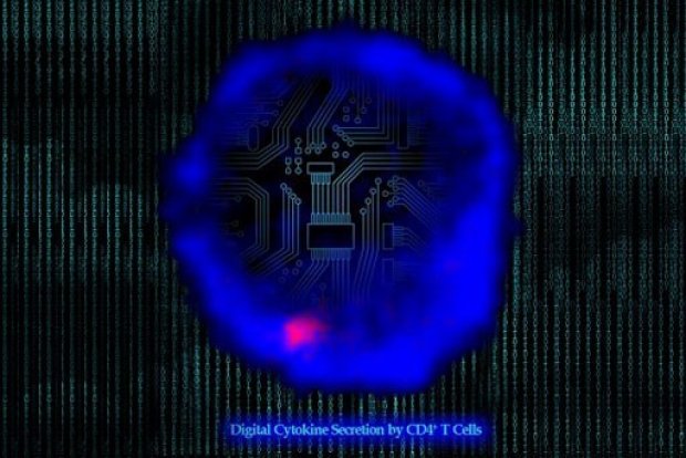 "You can easily get a lot of human data, but you need the people who know what to do with the data. You need to be able to ask the questions that let you to navigate it." Mark Davis of <a href="/StanfordMed/">Stanford Medicine</a> makes clear at #curious2018 how #biology and #science are changing. <a href="/merckgroup/">Merck</a>