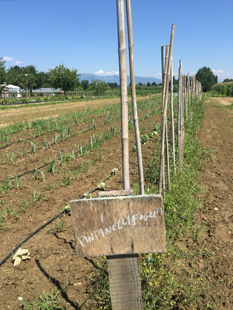 ‘People taking care of people’: castelmonteonlus.it cooperative running a #FattoriaSoziale social enterprise farm #elContadin in Castelfranco #VenetoRegion: a work experience &amp; stepping stone for people with special needs to enter the job market. #urbedulive#UELveniceHub