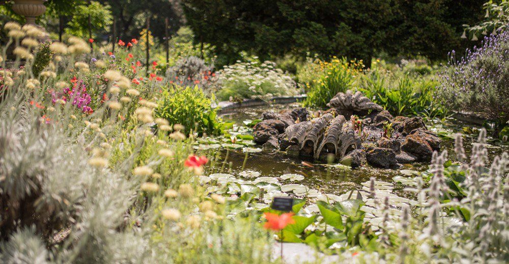 Chelsea Physic Garden