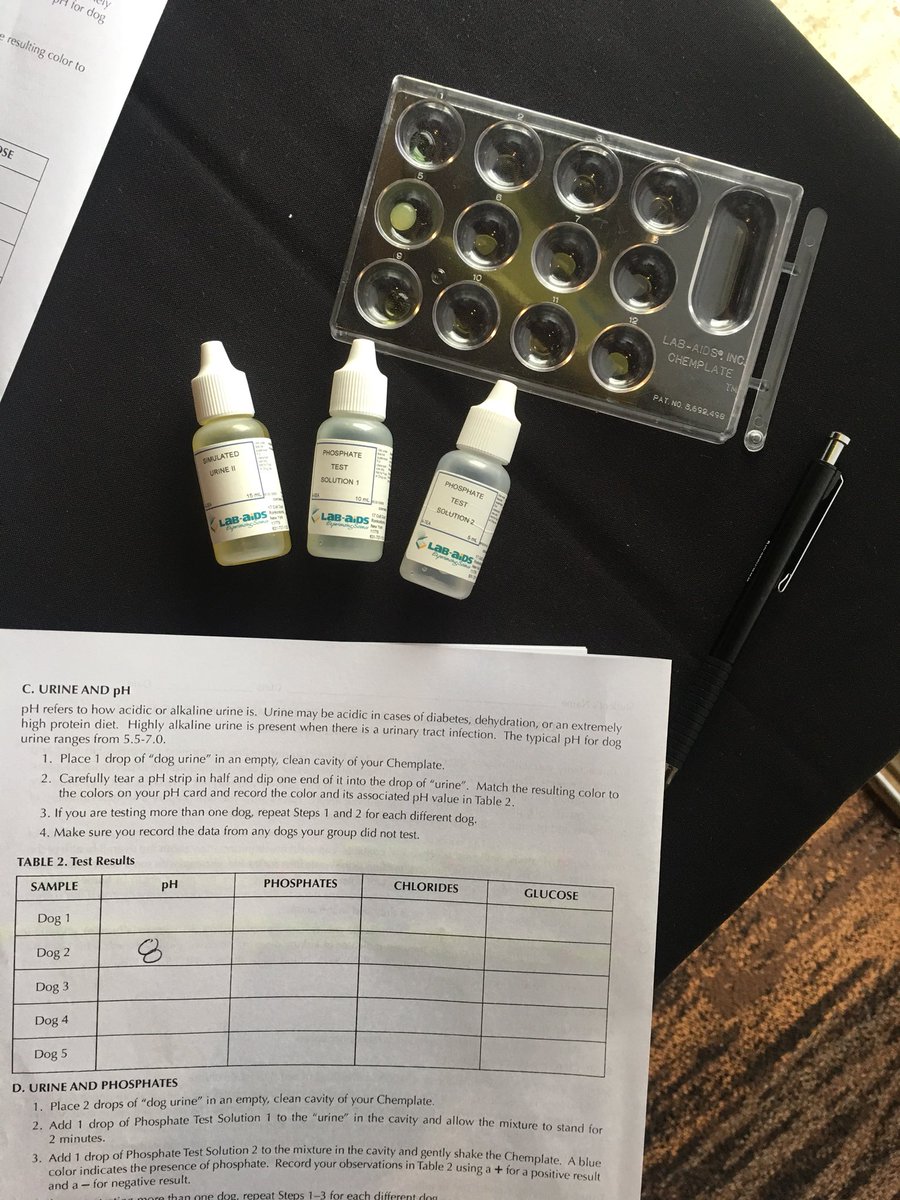 Canine Urinalysis first thing in the morning! <a href="/LabAids/">Lab Aids</a> has a great test that will check for PH, glucose, phosphates, specific gravity, and more! #NATAA18 <a href="/NAAE/">National Association of Agricultural Educators</a>