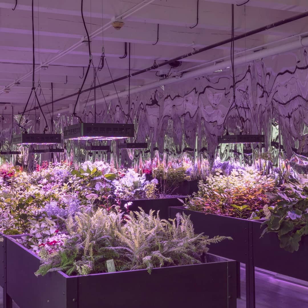 pps_arts's tweet photo. When plants become art; 8 @ppsnews schools are the recipients of sculptor #MegWebster's Solar Grow Room installation from the @mattressfactory. @pghSuptHamlet @pps_visualarts https://t.co/4HaKHe3jXy