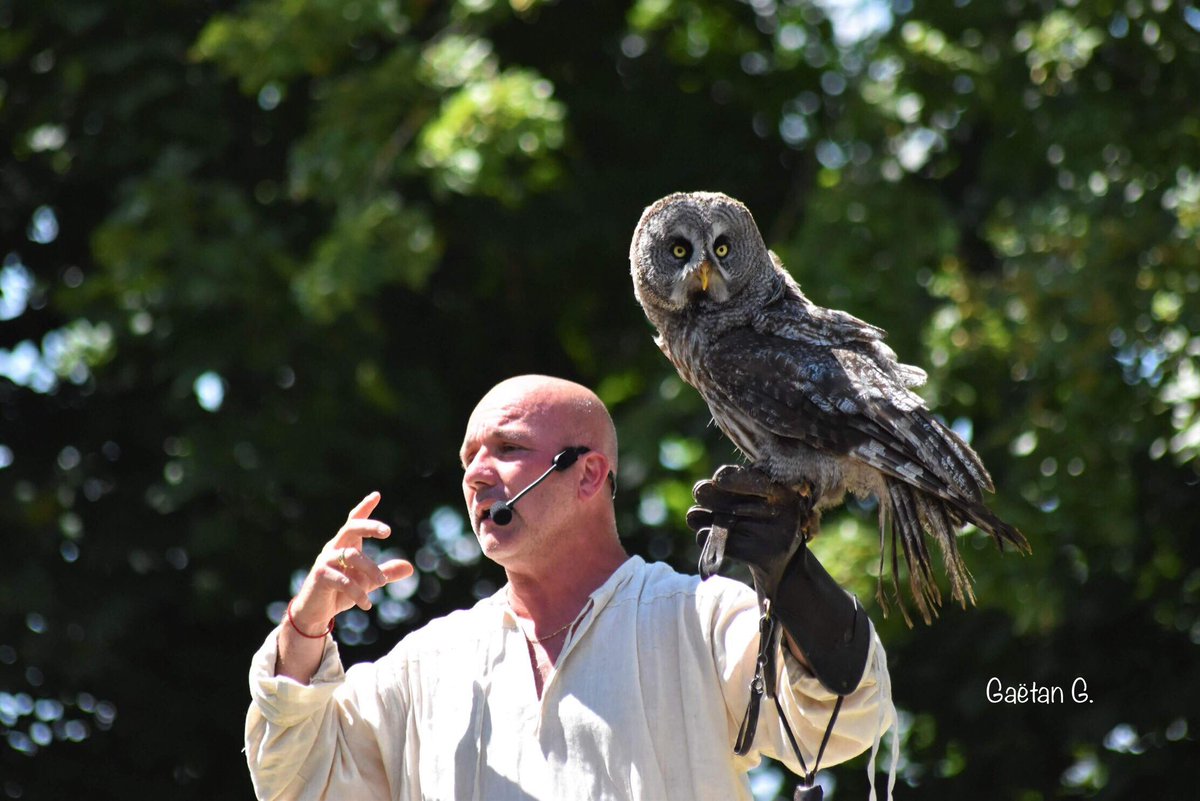 Superbes photos du spectacle de fauconnerie proposé dans le parc du #château de #Langeais !