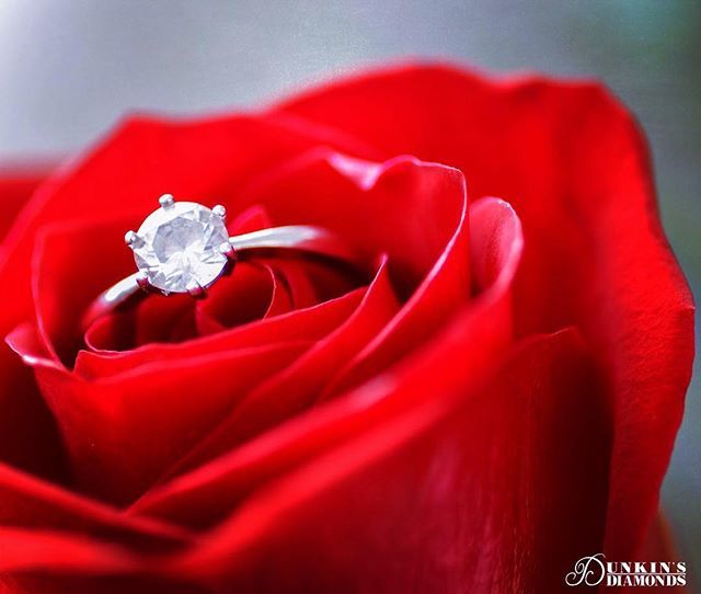 Classic and timeless!!! Solitaire and red rose! 💍🌹 #dunkinsdiamonds #celebrateyourlove #isaidyes #diamondsolitaire #redrose #soulmate #bridetobe2018 ift.tt/2O0JopZ