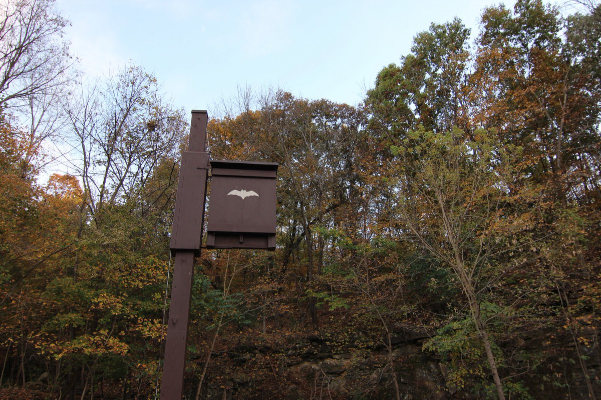 Leaf On Twitter You Ve Heard About Bird Houses But What About
