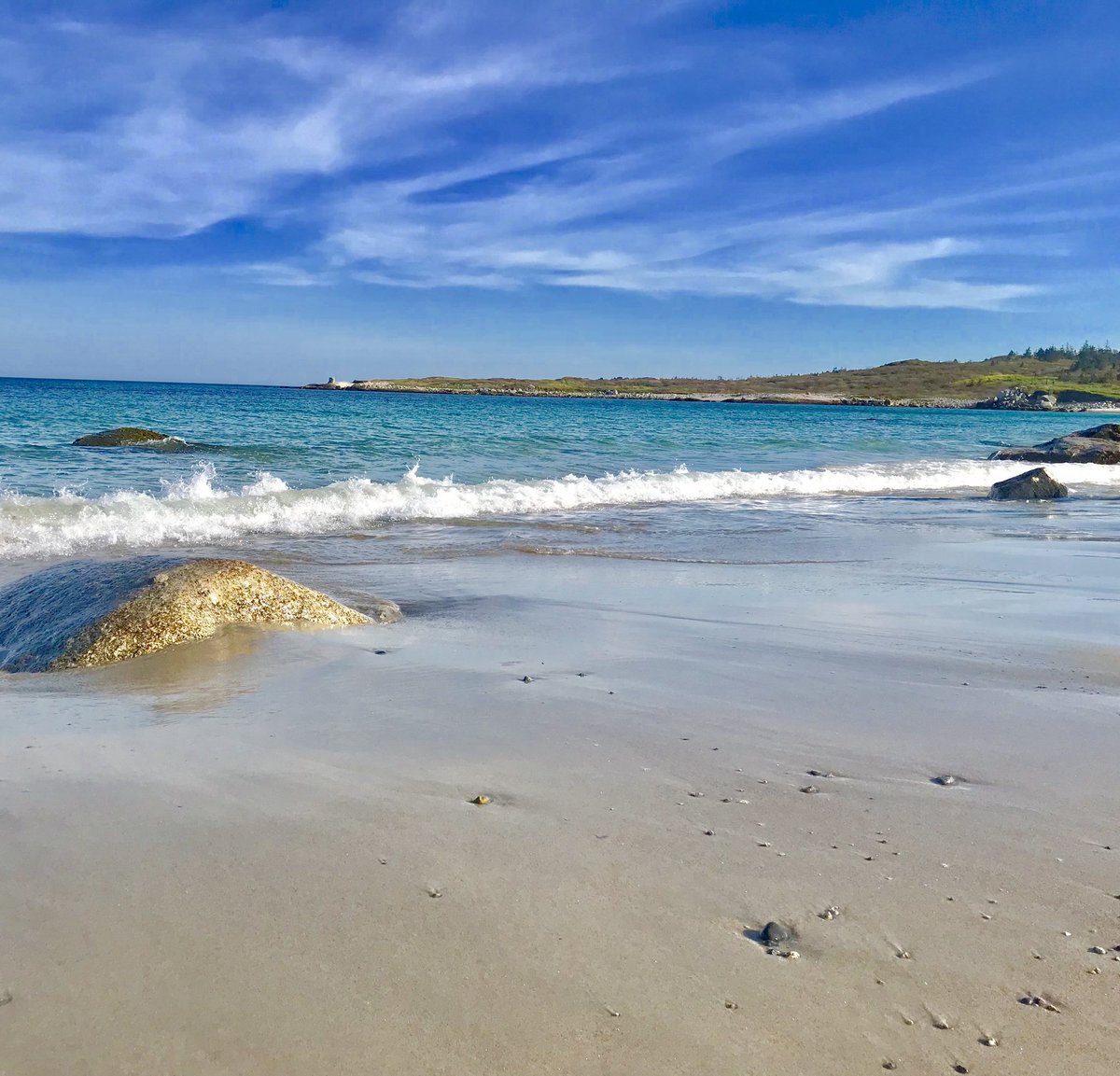 UnitedGulfDev's tweet photo. Crystal Crescent Beach is located less than 30 minutes from Nova Suites 🌊
Book your stay in Halifax at: novasuites@nowrenting.ca 
#VisitNS https://t.co/4nuNGNdOrm