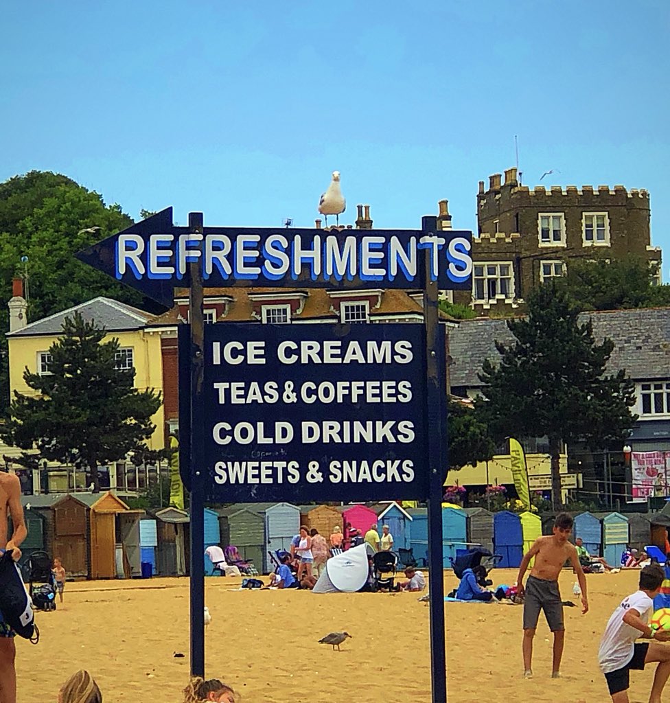 Seagull pointing out where you can buy food for them to steal! #Broadstairs #VikingBag #Kent #Thanet #VisitThanet #Seagull