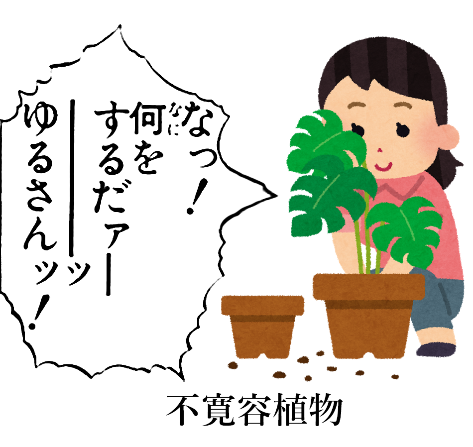 廻転楕円体 不寛容植物 廻転楕円体 不寛容植物