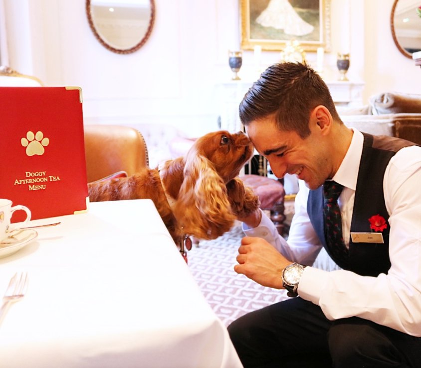 Egerton_Hotel's tweet photo. Always at your service 📷@ameliathecav https://t.co/pia4LzSKWo