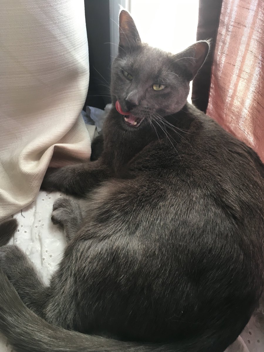 gum_darw's tweet photo. gotta stay fresh for the ladies 😼 https://t.co/oLg0vYA827