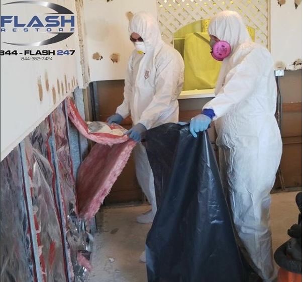 FlashRestore's tweet photo. At Flash Restore, we have the experience and reputation of taking care of our customers. Whether you need Emergency Services after a flood, or found mold in your garage, we are the professionals for the job! #Professional #licensed #insured #moldremoval https://t.co/pPpR30PIU8
