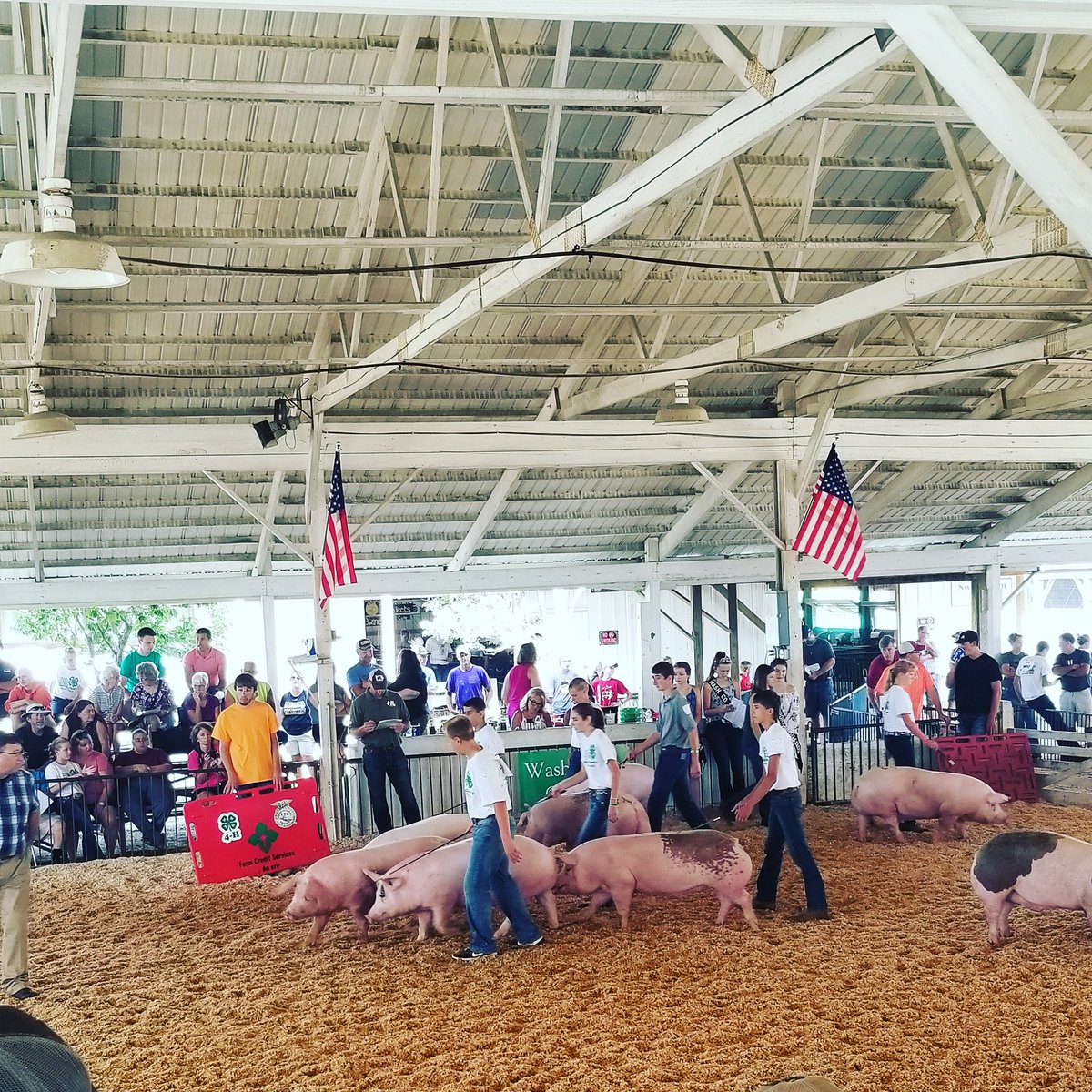 FCA_VisionAg's tweet photo. We are out at the Washington County Fair today supporting the youth participating in the Swine Show. Best of luck to all! @JessHorras2014 @PaigePaul13 @4hwashco https://t.co/dWTMAFopAI
