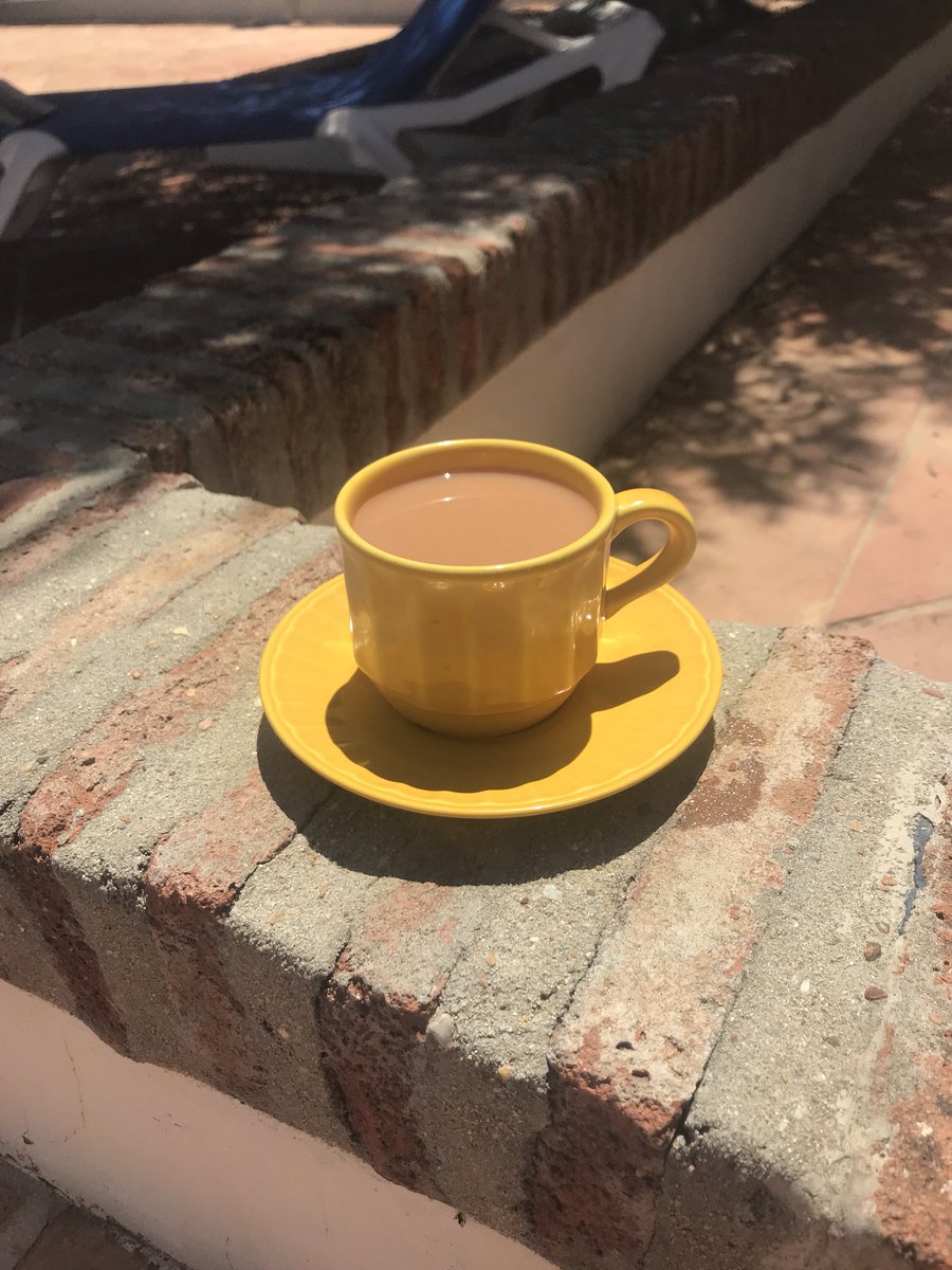 danielcflynn52's tweet photo. #Portugal is ace but bring a Brit a world leader in beverages sometimes #teaistheanswer to everything - I smuggled #pgtips through customs #tea-trafficking https://t.co/HU929zysxZ