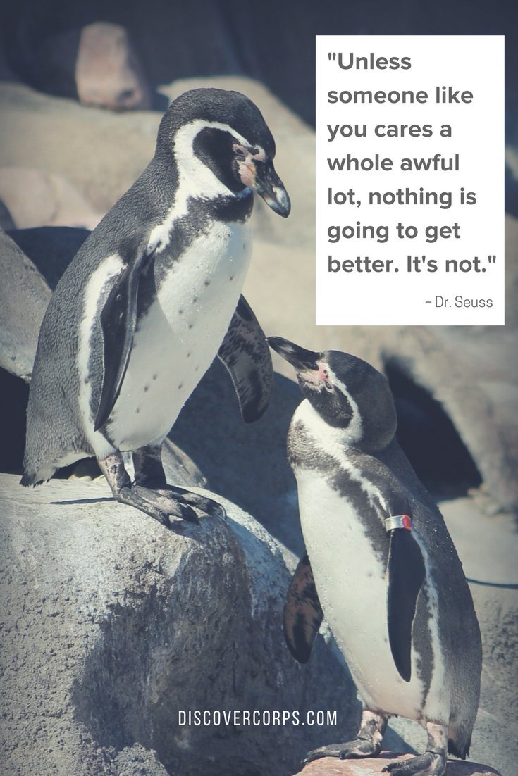 Simran Bhamu tweet media