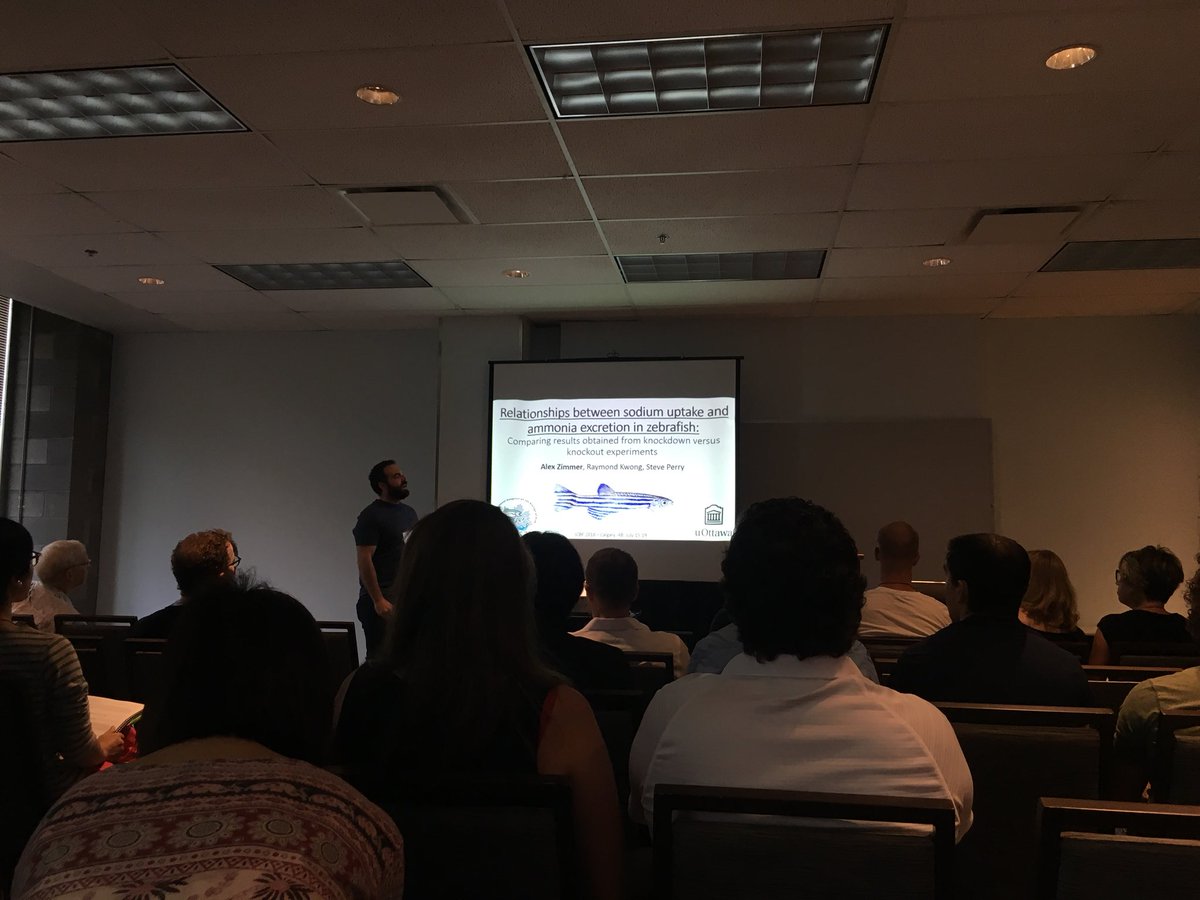 GossPhysTox's tweet photo. What a knockout! Alex Zimmer discussing Na and NH3 uptake in zebrafish #ICBF2018 @PhysiologyAFS https://t.co/rIl96xdl8d