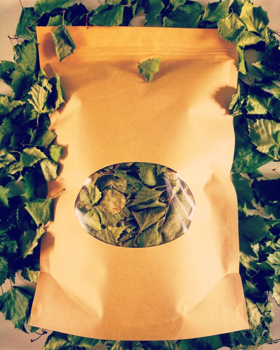 BirkenTree's tweet photo. Work in progress ☺... #birchpower #HealthyLife #wildharvested #birchleaf #healingnature #Tea #bath #allnatural #Perthshire #birchforest #Scotland https://t.co/ioLxwnelvj
