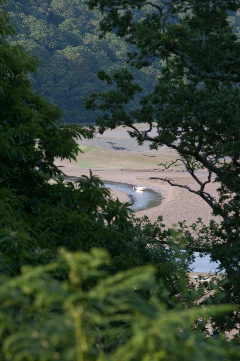 A sneaky peek through the trees today and tucked away is one of our hidden gems. #dreamy #romantic #secluded #tranquil #peaceful #natural #comestaywithus #holidaycottages #dogfriendly #ermeestuary #areaofnaturaloutstandingbeauty #siteofspecialscientificinterest