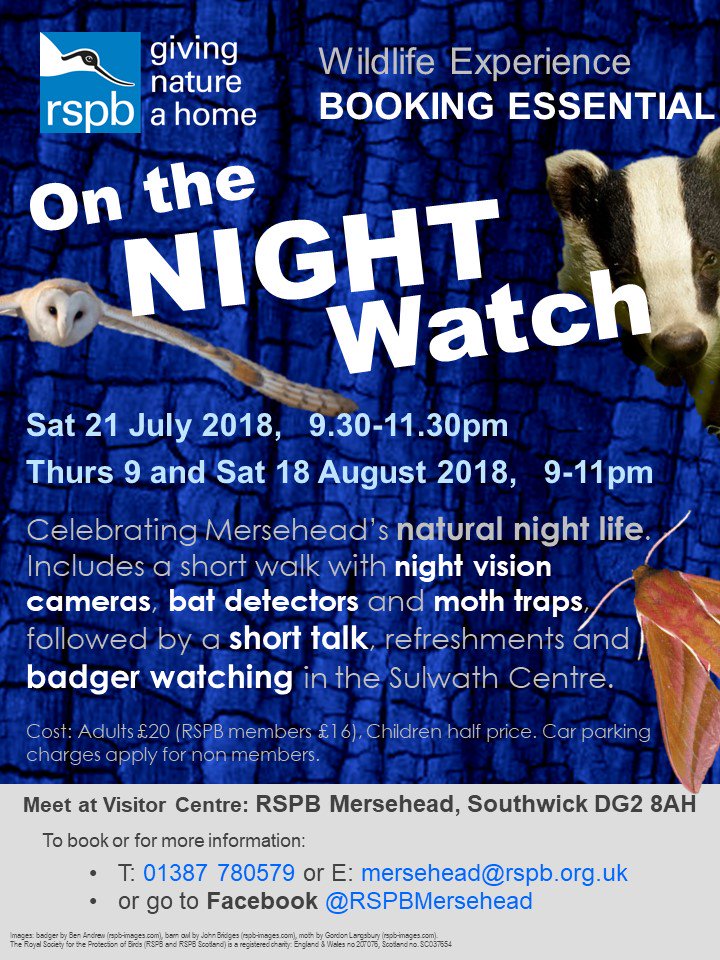 #Badgers on the night watch! Worth popping along to the events at #RSPB #Mersehead for a closer look. facebook.com/RSPBMersehead/…