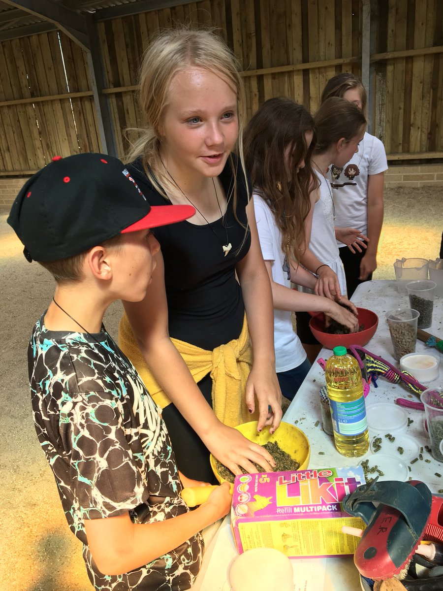 guignardabbots's tweet photo. Making donkey food! https://t.co/gZTKn7BLoh