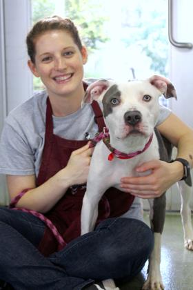 AntiCruelty's tweet photo. How would you like a new #Mercedes with low gas mileage, four-paw drive with grey and white exterior? Meet Mercedes! The dog who has all of that and much more! She also gives great hugs and gentle kisses! No car can give you that! https://t.co/0lDfrtTEJU https://t.co/JHm2ROJNcI