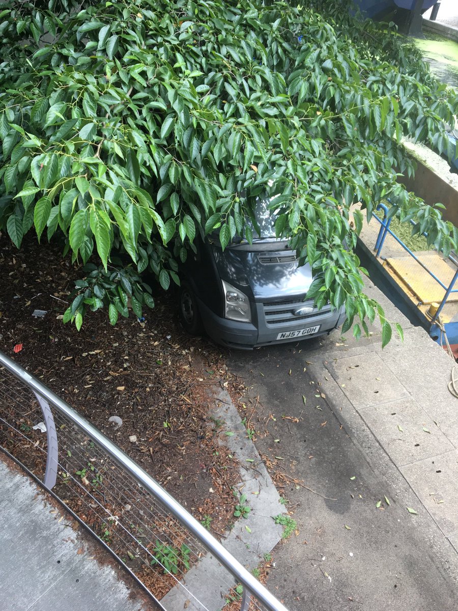 Garda920's tweet photo. @MetCC there’s what looks like a stolen black transit van under trees along the canal side In Paddington. Quarter light broken. Ignition looks damaged. On the opposite bank to Sheldon Square W2. Certainly suspicious https://t.co/uOE0kqyusw