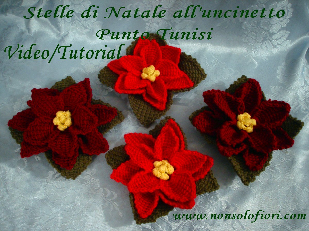 Tutorial Stella Di Natale Uncinetto.Maria Teresa Menna Pa Twitter Stella Di Natale All Uncinetto Con Punto Tunisi Video Tutorial Poinsettia Plant Https T Co Lbytvmy1dg