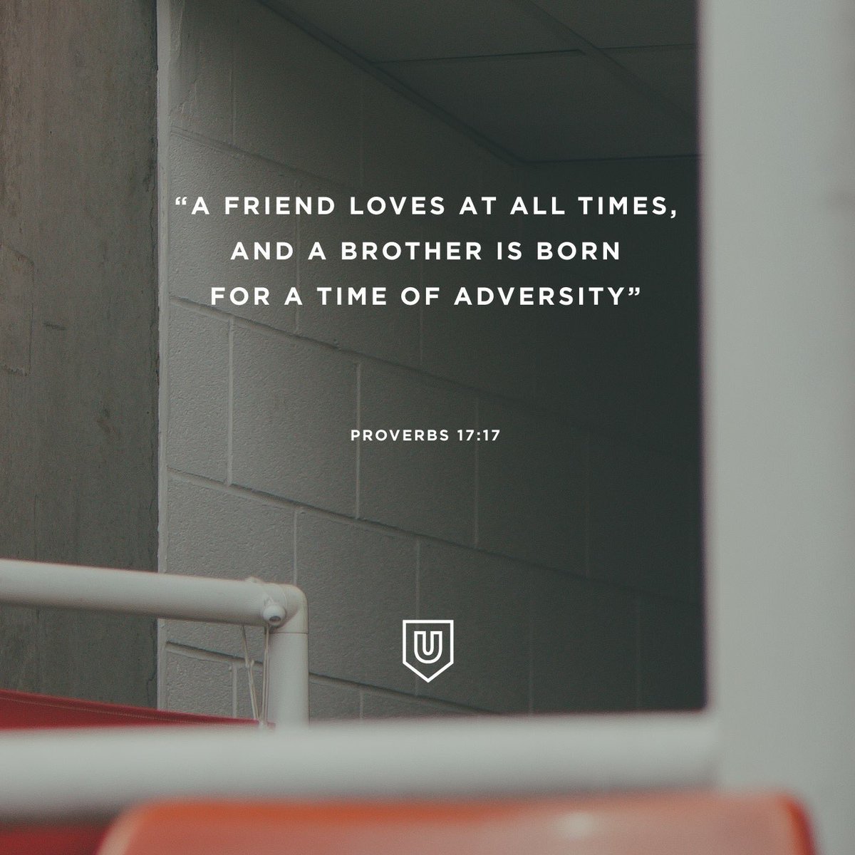 Let’s start as brothers and then become friends.