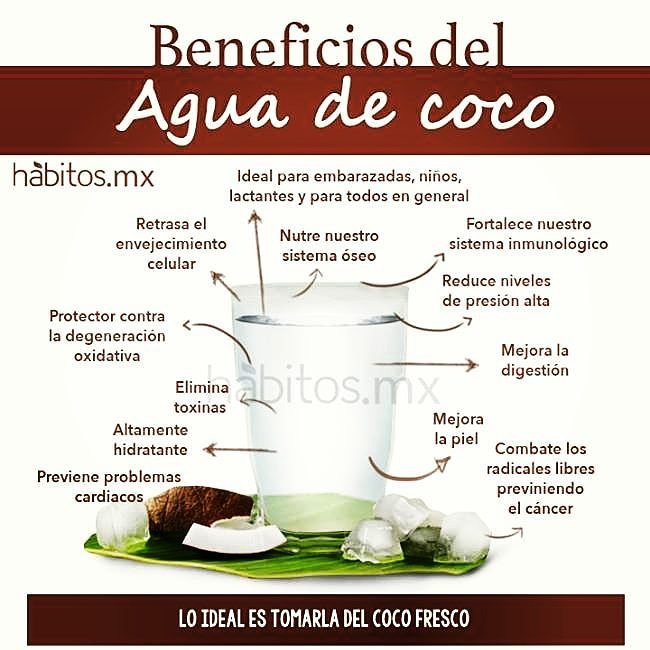 los beneficios del Bufo marinus de coco linear unit el embarazo