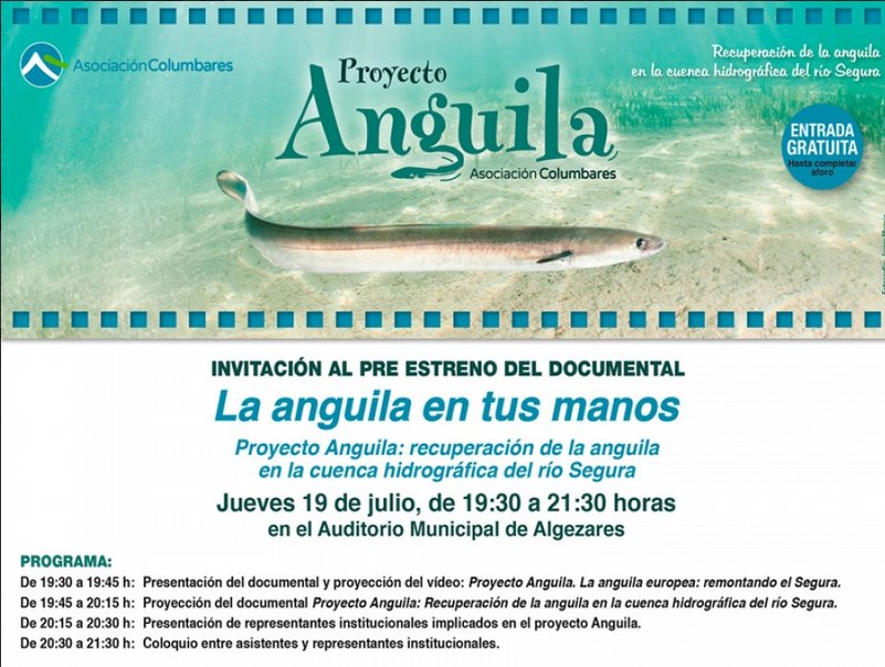 ColumbaresONG's tweet photo. Os esperamos mañana en el Preestreno del Documental “La anguila en tus manos” en el Auditorio de Algezares https://t.co/kEJfcAqQQV ¡No Faltéis! #ProyectoAnguila 🐟🌴 https://t.co/jdolVHM2Fa