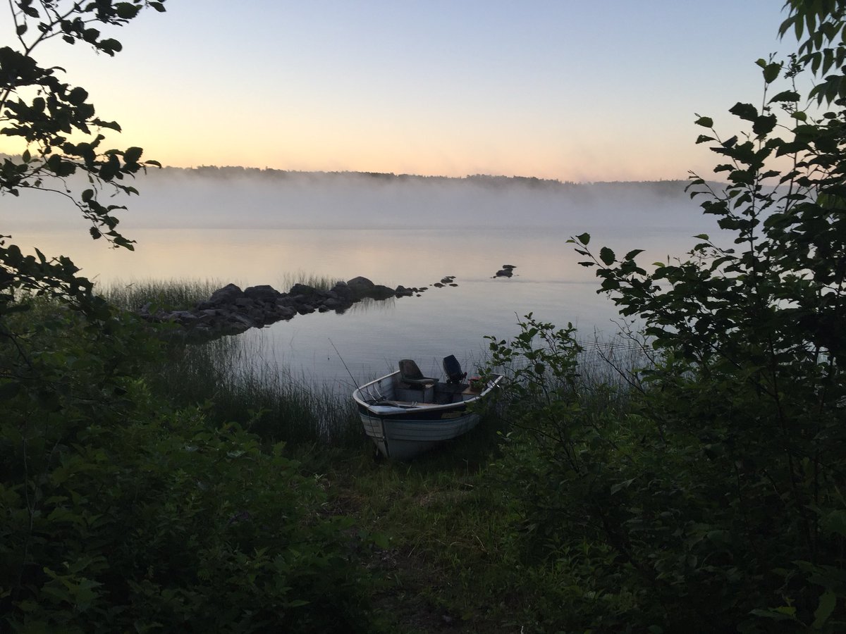 brotherslee's tweet image. Back home❤️ #Nature #healthy #Travel #Exploreoverland #dog #puppy #exploring #Adventure #woods #photograph #photo #pic #picture #forests #trees #love #green #sky #cloud #beautiful #beauty #nice #lifestyle #peace #perfect #followme #Earth #Hiking