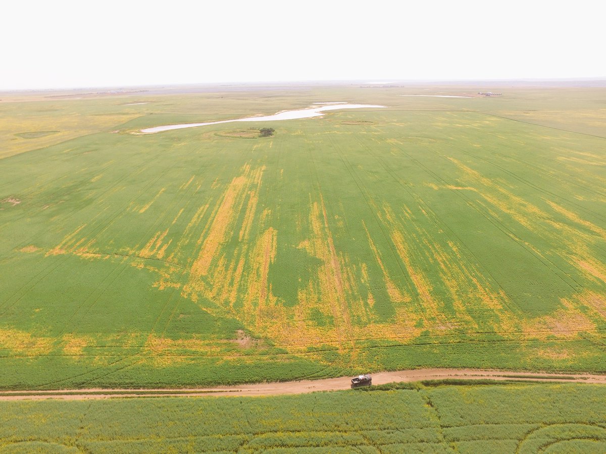 Hawks Agronomy tweet media