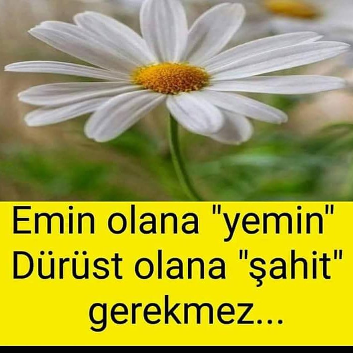 ilker sapan (@sapan_ilker) on Twitter photo 