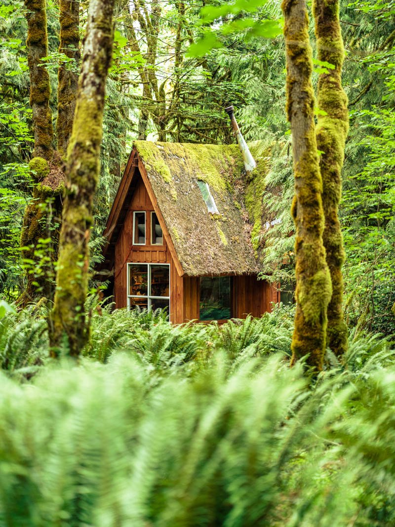 blastrei's tweet photo. In honor of being more #environmentallyconscious, this #WackyWednesday, @Zillow brings us some #offthegrid #homes made from #recycledmaterials. Take a look! #RealEstate #savetheplanet #recycle >>https://t.co/ExXzScgYMn<< https://t.co/ENM78A3OFr