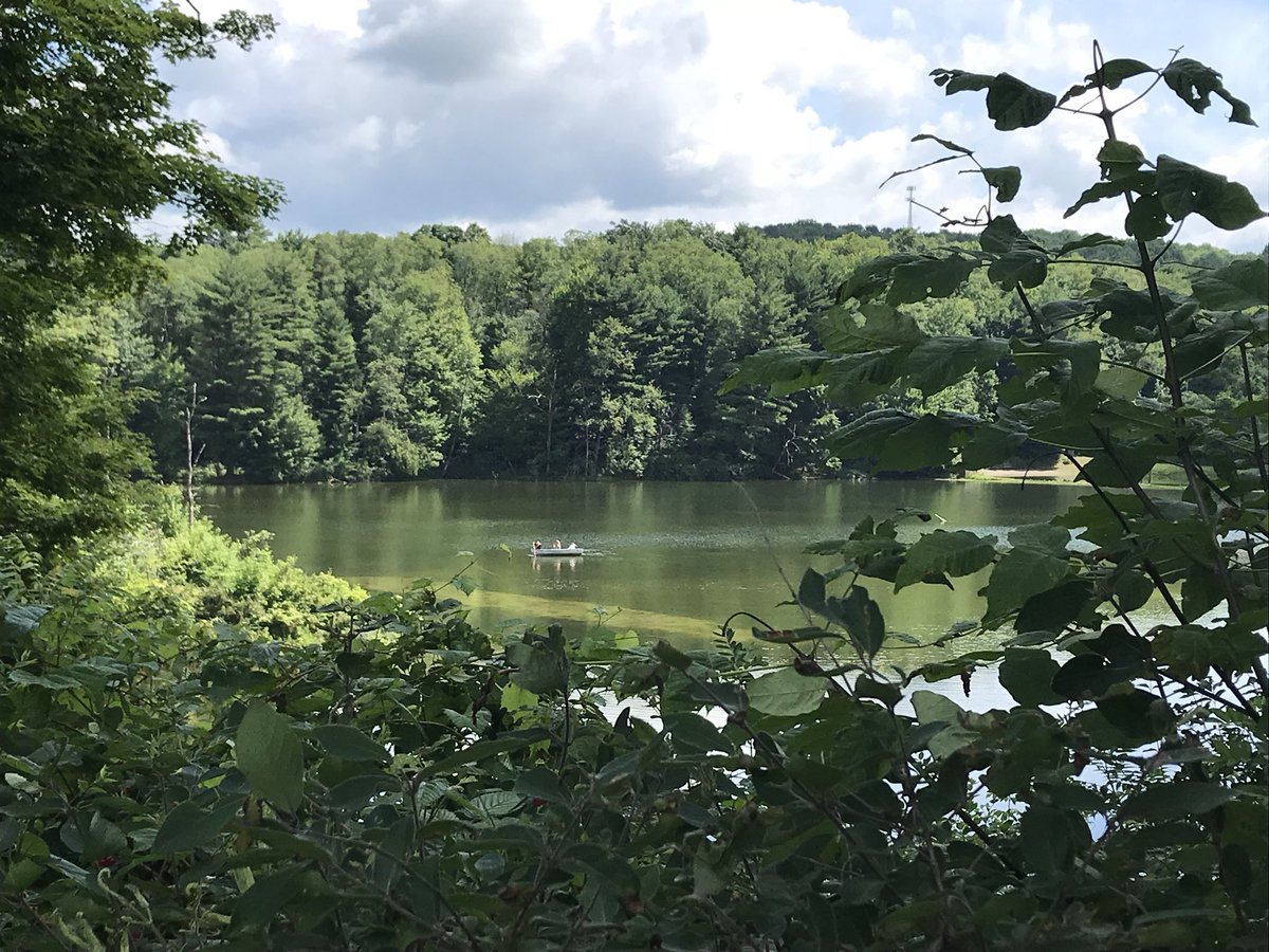 mboltonrivers's tweet photo. Enjoying the nurture of nature at camp this week #covenantacres https://t.co/khIkjk1no1