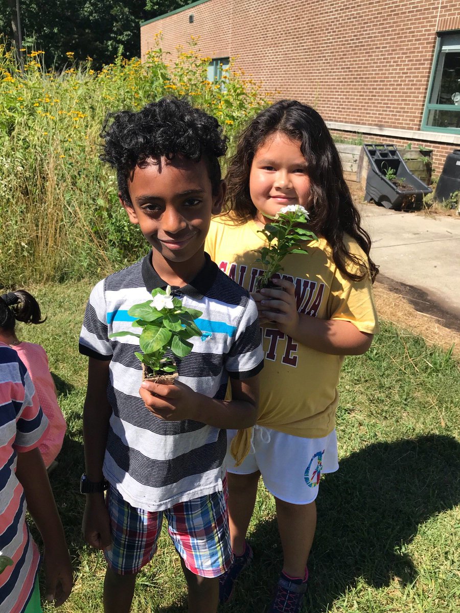 DanceHwes's tweet photo. Our Young Scholar Engineers are learning how to package plants to become Packaging Engineers! @HuntersWoodsES @fcpsregion @fcpsnews https://t.co/PbO40WJZJp