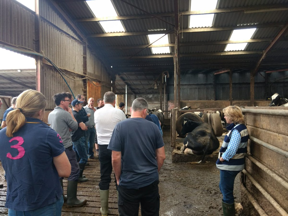 Ingrid's AYR Discussion Group was held on farm today.  The group focused on cow comfort &amp; ventilation in an existing shed - Thanks to Ben for hosting!