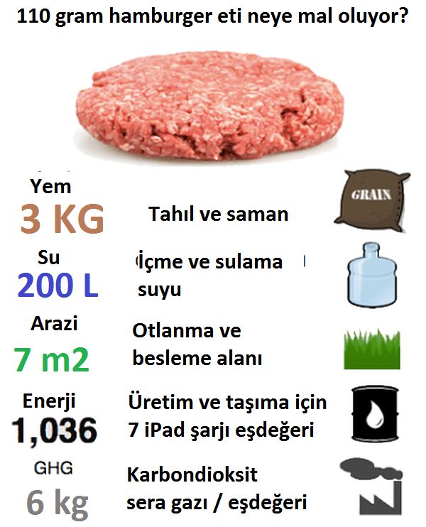 Khosann's tweet photo. 100 gr #hamburger eti neye mal oluyor? Ekonomik ve çevresel olarak. #SentetikEt ormanların kesilmesini, küresel ısınma ve çevre kirliliğini azaltacak. Gelecekte baklagil ve tahıllar da #biyoprinter'da basılacak https://t.co/z9sFOBoYyi https://t.co/7jbdLB7X1U