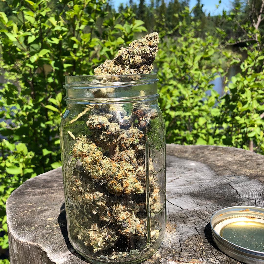 HIGH_TIMES_Mag's tweet photo. Do you prefer indoor or outdoor smoke sessions?

📷: https://t.co/h3pKyoPw7b https://t.co/69mqQOWghx