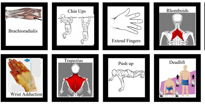 LifeSciTRC's tweet photo. Ever played the board game "Guess Who?" Check out this adaptation for your exercise physiology course! https://t.co/ZQTJ6UoQqr https://t.co/wPoF0A0l0K