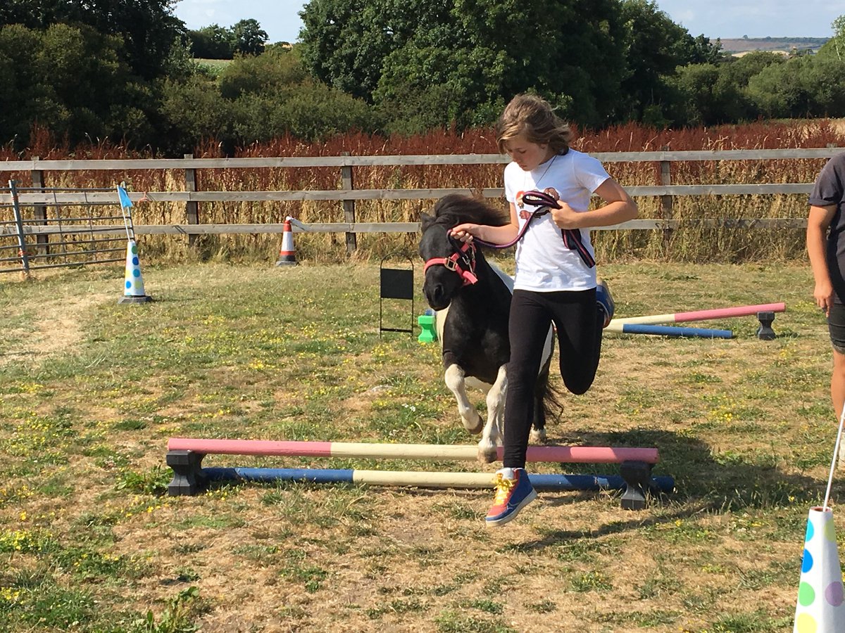 guignardabbots's tweet photo. Pony agility course https://t.co/obul7clEbm