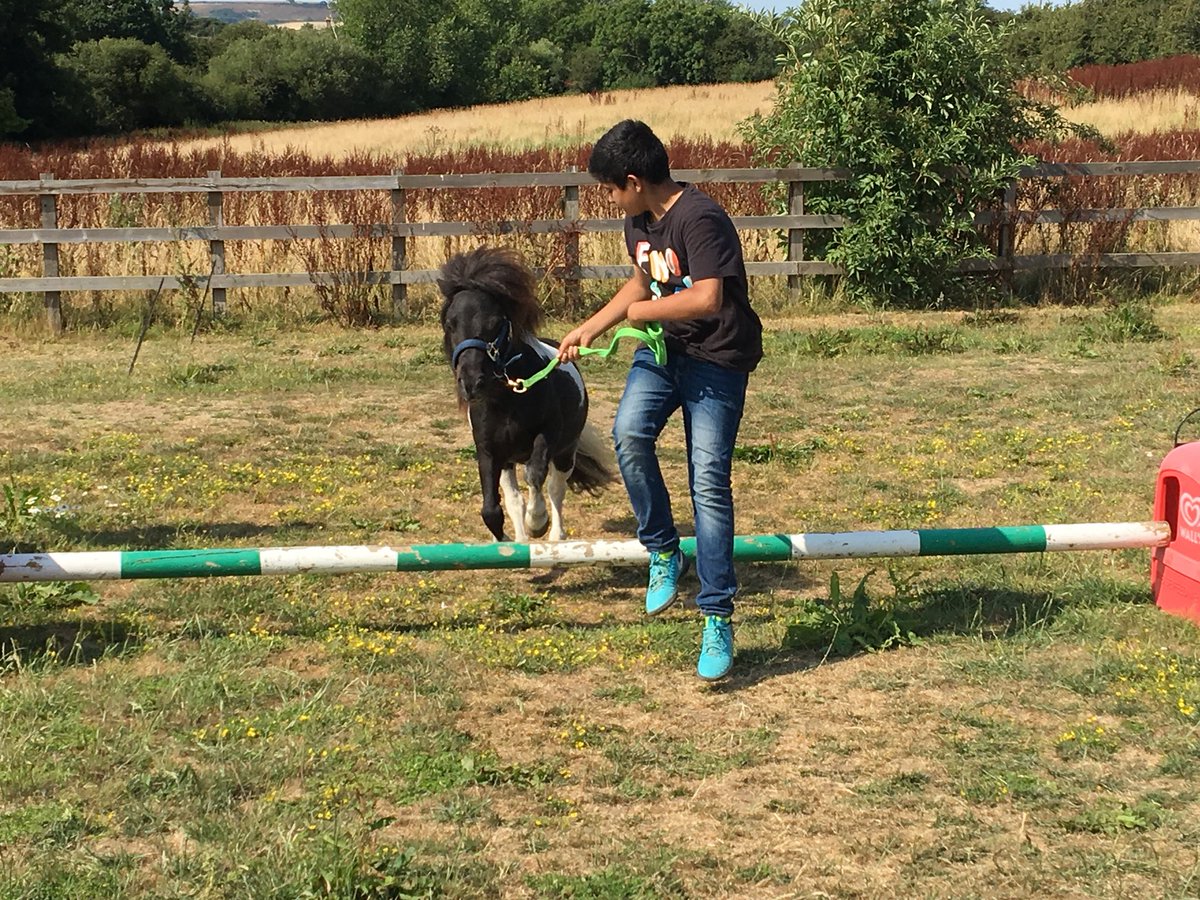 guignardabbots's tweet photo. Pony agility course https://t.co/lhrBmsNu9p