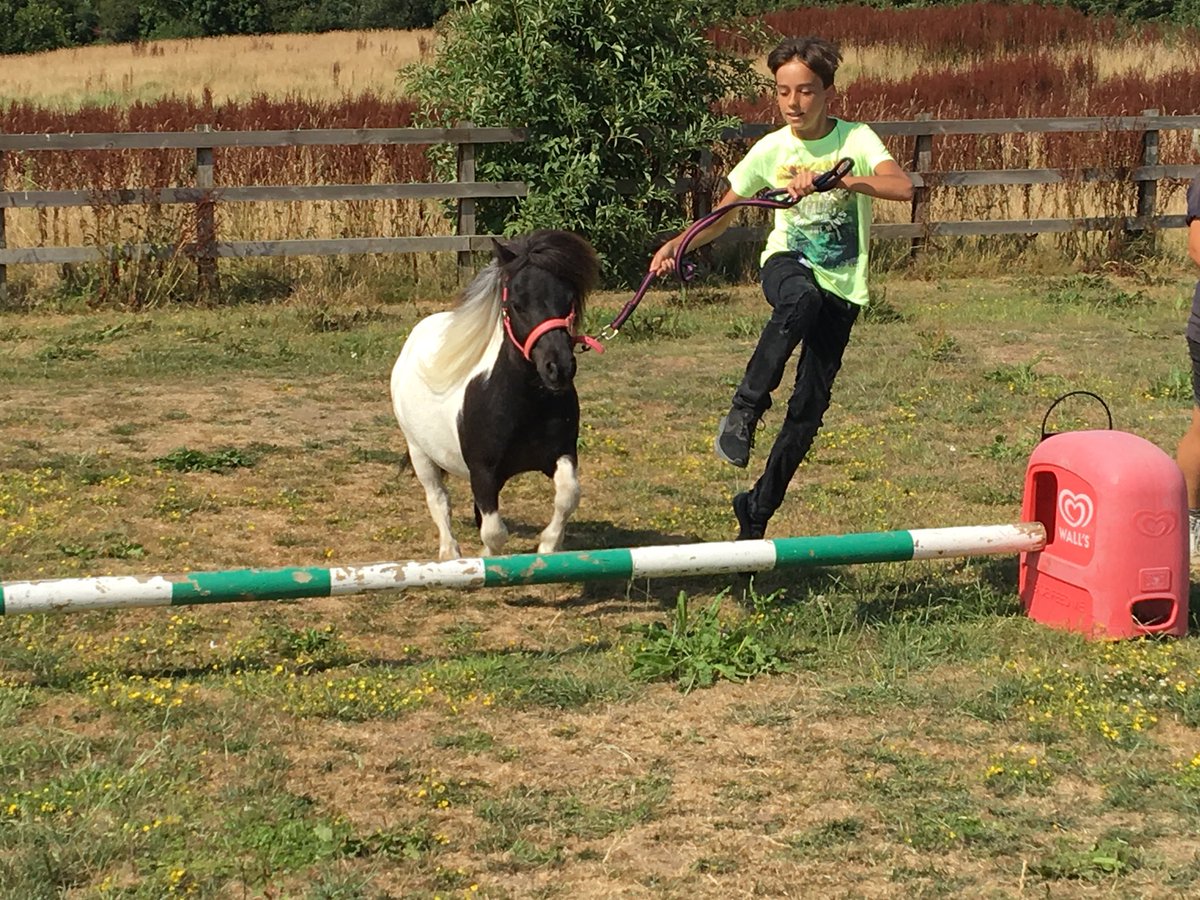guignardabbots's tweet photo. Pony agility course https://t.co/lhrBmsNu9p