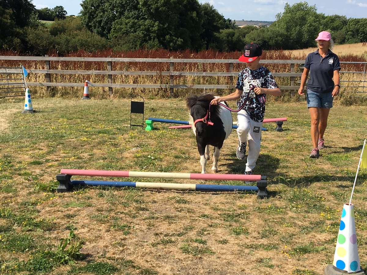 guignardabbots's tweet photo. Pony agility course https://t.co/4LP65JpeX9