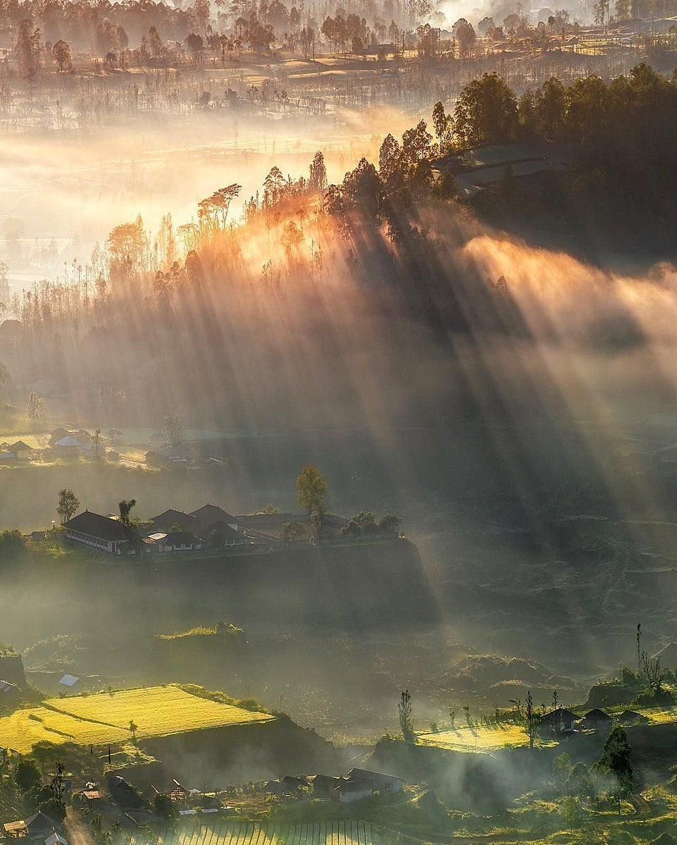 sertumore's tweet image. Pinggan, Bali