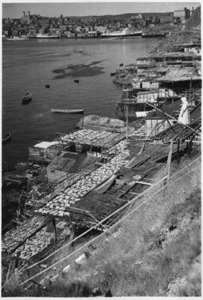Woman on stage, overlooking saltfish spread on flakes, c. 1939. Photo by Gustav Anderson.