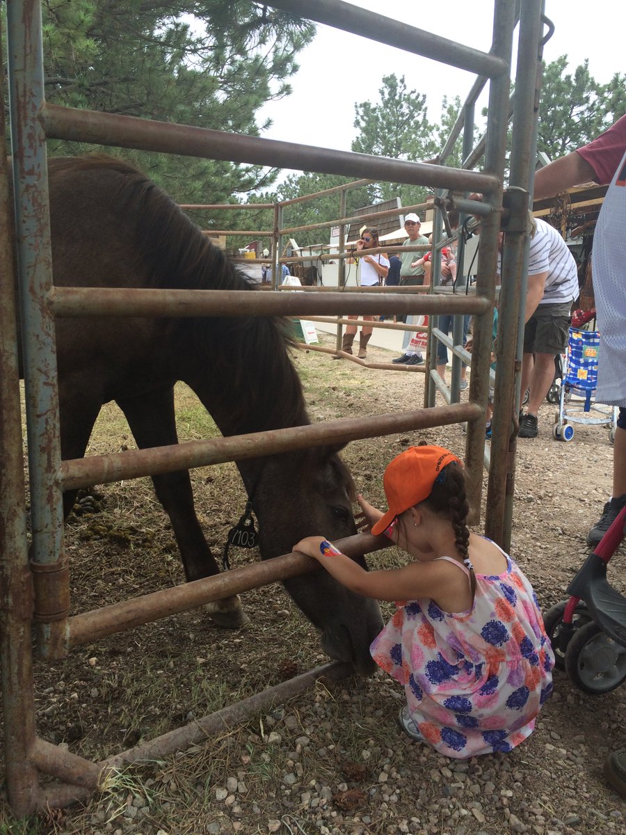 A small girl in a pin and purple dress kneels down to pet a horse through corral bars.