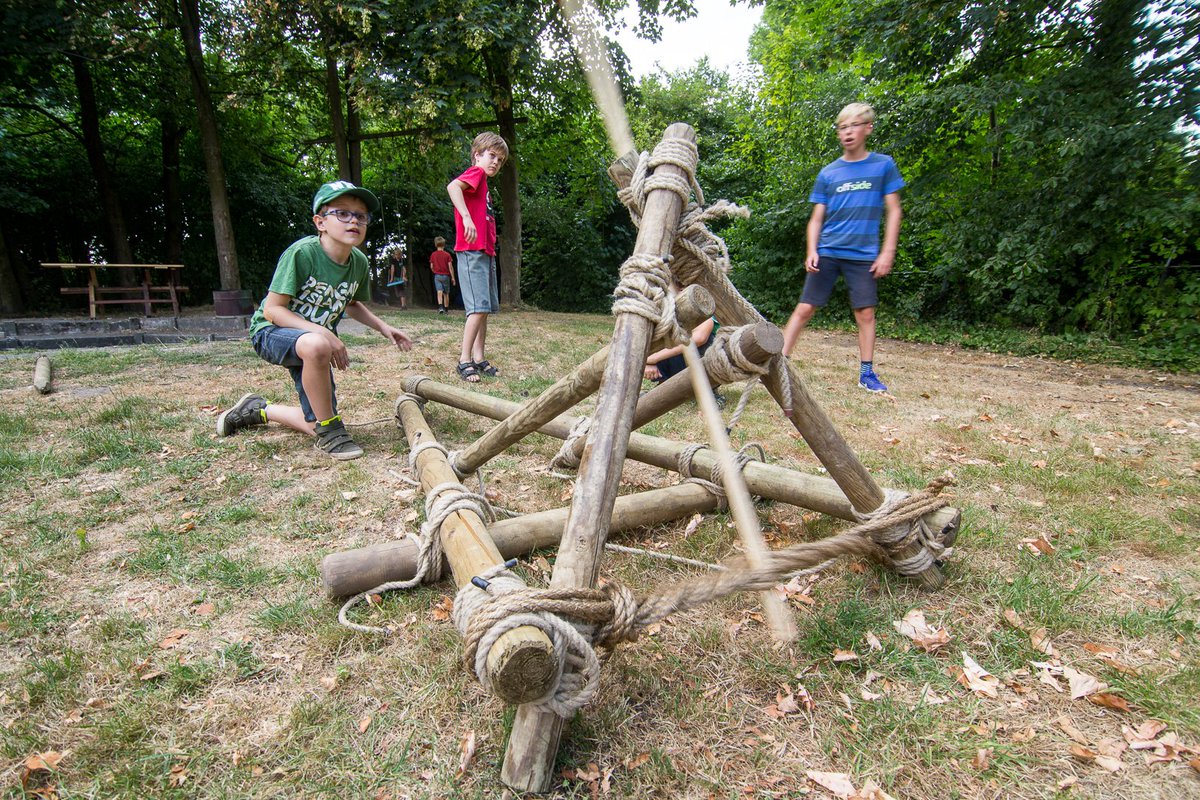 RCG Welpen tweet media